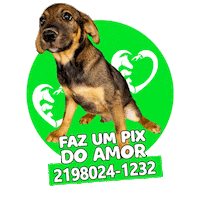 Pix Sticker by GARRA
