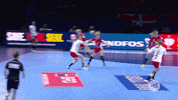 goal poland GIF by EHF