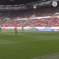 Manuel Neuer Football GIF by FC Bayern Munich