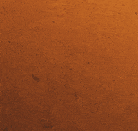 Volleyball Jordan GIF by trefl_gdansk