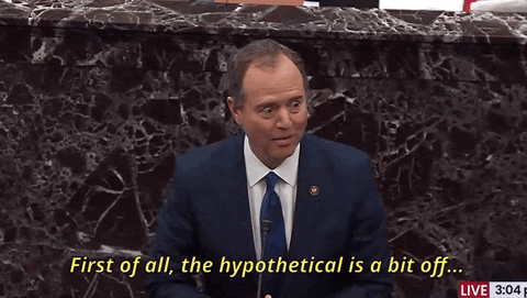 Adam Schiff GIF by GIPHY News