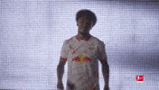 Rb Leipzig Yes GIF by Bundesliga