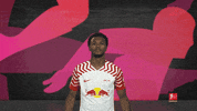 Celebrate Rb Leipzig GIF by Bundesliga