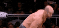 Claudio Castagnoli Wrestling GIF by AEWonTV