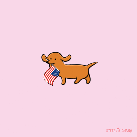 Voting Independence Day GIF by Stefanie Shank