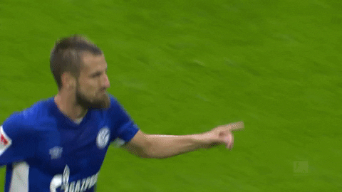 Soccer Goal GIF by FC Schalke 04