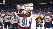Stanley Cup Hockey GIF by NHL
