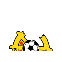 kaarinanpojat football soccer jalkapallo kaapo Sticker