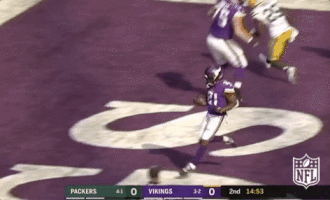 Minnesota Vikings Football GIF by NFL