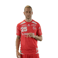 Handball Mtm Sticker by DAIKIN HBL