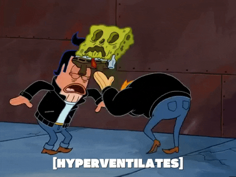 season 5 GIF by SpongeBob SquarePants