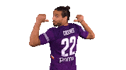 Happy Serie A Sticker by ACF Fiorentina