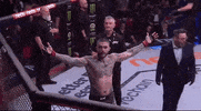 Mixed Martial Arts Sport GIF by UFC