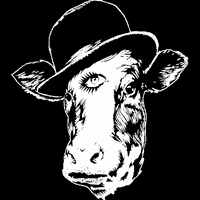 korova korova GIF
