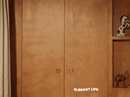elegantlife closet elegant life whats in your closet GIF