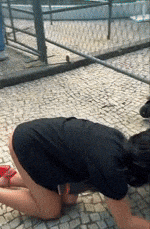 giphy.gif