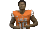 Football Celebration Sticker by Carson-Newman Athletics