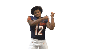 Seatbelt Sticker by Carson-Newman Athletics