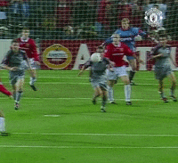 Champions League Sport GIF by Manchester United