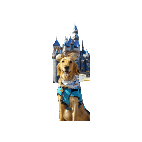Golden Retriever Disney Sticker by Geekster Pets