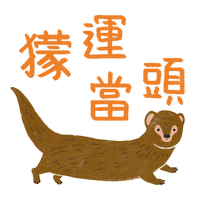 Wildlife Mongoose Sticker