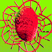 pop art 3d GIF by Dax Norman