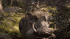 The Lion King GIF by Walt Disney Studios