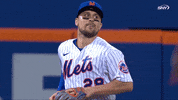 New York Mets Baseball GIF by SNY