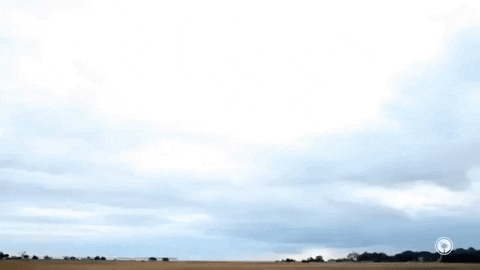 south carolina GIF