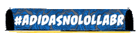 lollapalooza brasil Sticker by SneakersBR