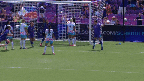 2025 GIF by National Women's Soccer League