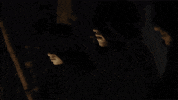 music video cult GIF by Radical Face