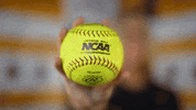 Loyola Softball GIF by LoyolaRamblers