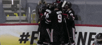 Frozen Four Celebration GIF by NCAA Championships