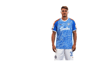 Football Soccer Sticker by Holstein Kiel