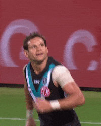 Football Celebration GIF by Port Adelaide FC