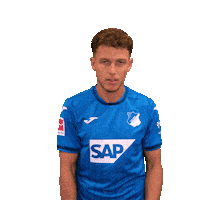 Was Soll Das Dennis Geiger Sticker by TSG Hoffenheim