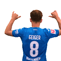 Dennis Geiger Sport Sticker by TSG Hoffenheim