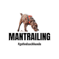 Dog Hund Sticker by GO FIND Suchhunde