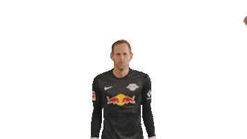 The Wall Defense Sticker by RB Leipzig