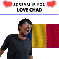 Chad Flag Td Sticker