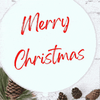 Merry Christmas GIF by TeaCosyFolk