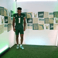 Ncaa Football GIF by USF Athletics