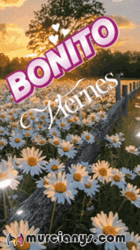Amigos Flores GIF by Murcianys LLC