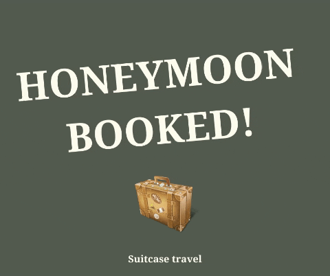 suitcasetravel giphygifmaker honeymoon suitcase travel honeymoon planning GIF