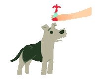 Dog Party Hard Sticker by Olivia When