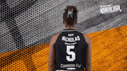 Sport Basketball GIF by Basket_fi