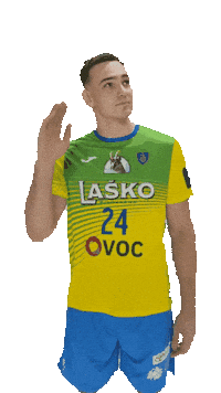 Handball Fans Sticker by RK CELJE