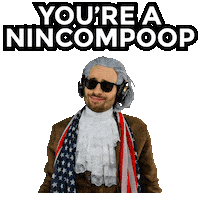 Idiot Insulting Sticker