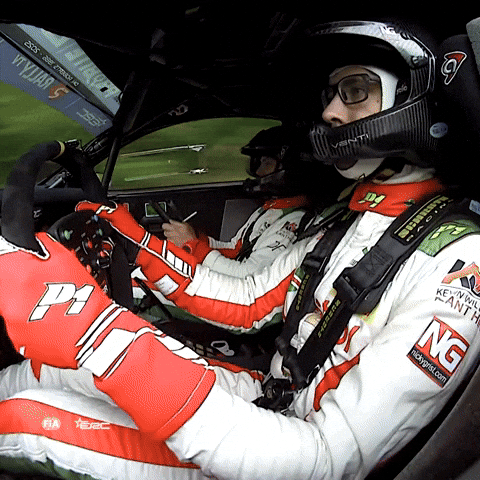 Spin Driving GIF by FIA European Rally Championship